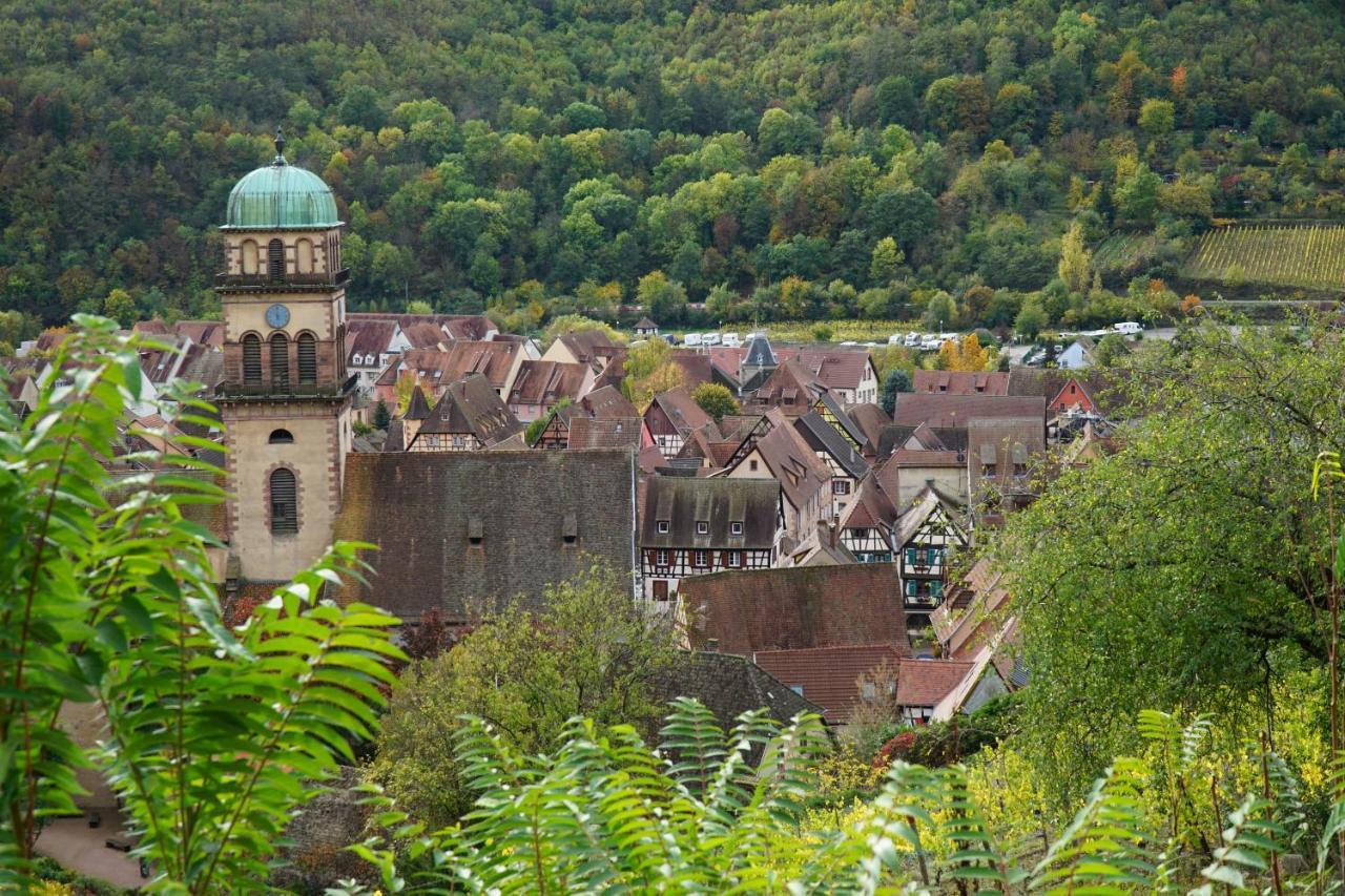 Gite Du Xve Kaysersberg-Vignoble Exterior foto