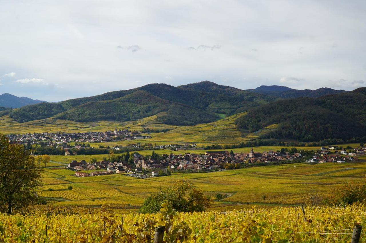 Gite Du Xve Kaysersberg-Vignoble Exterior foto