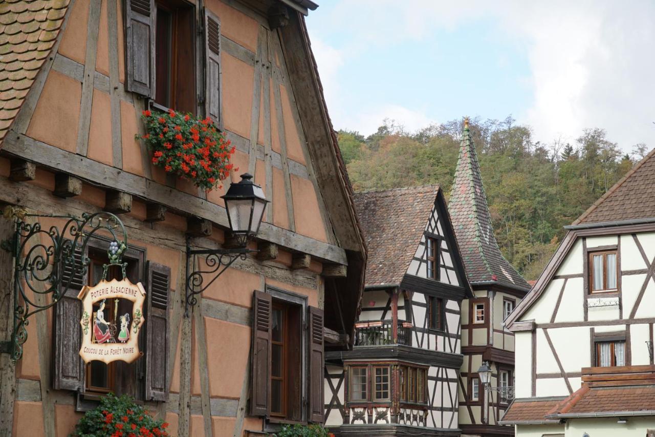 Gite Du Xve Kaysersberg-Vignoble Exterior foto